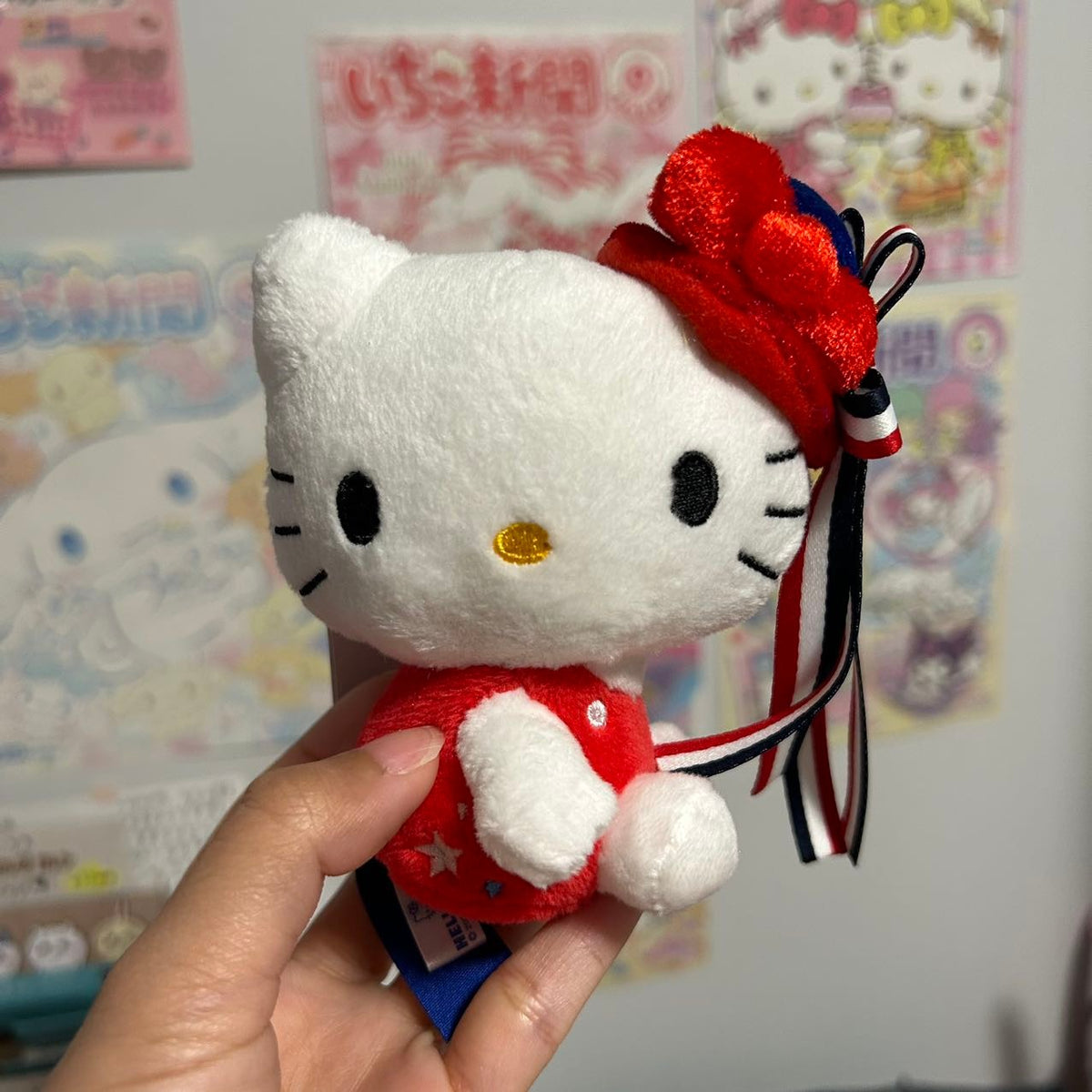 Hello Kitty Family Mascot