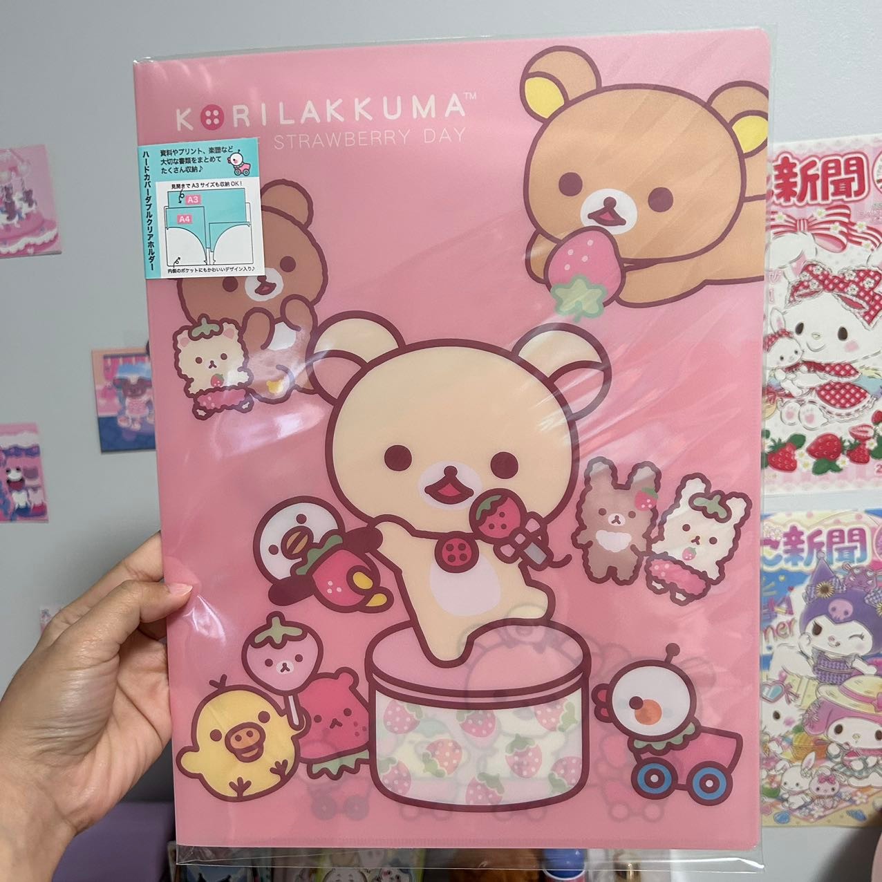 Rilakkuma Strawberry Double-Sided A4 File Folder