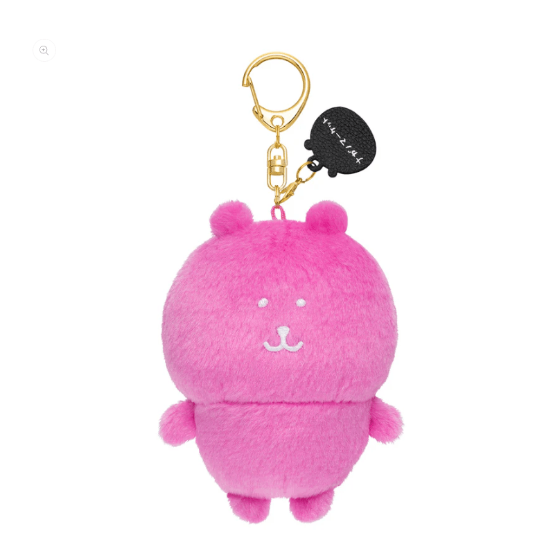 Nagano Bear Colorful Mascot