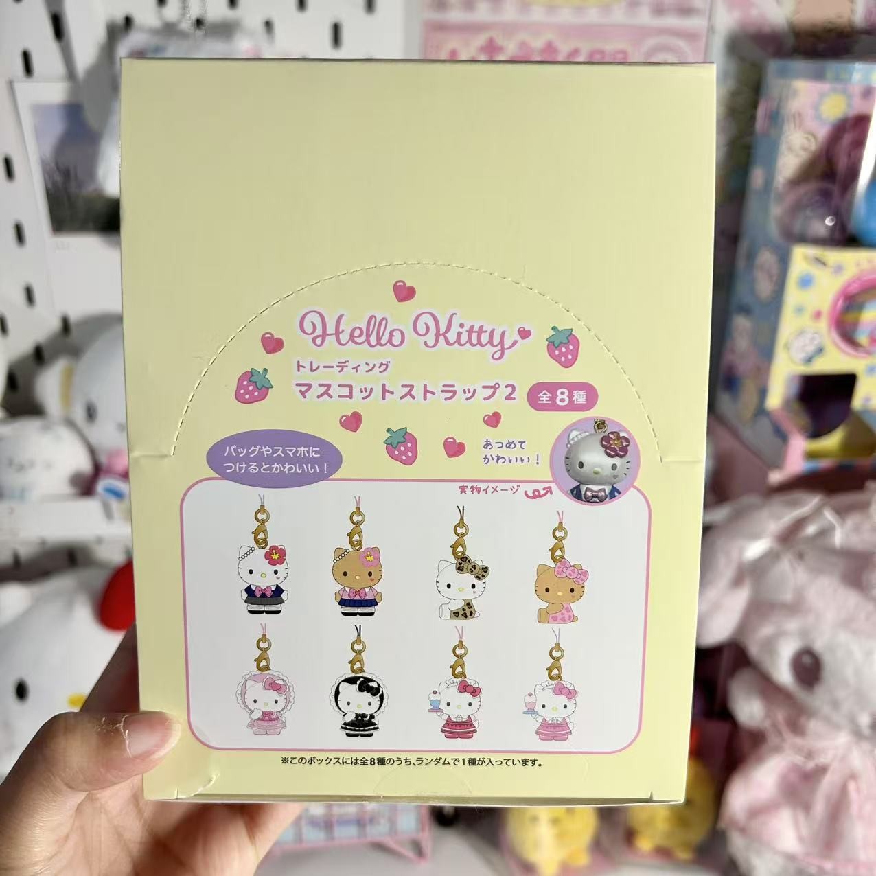 Sanrio NIC Pendant Blind Box