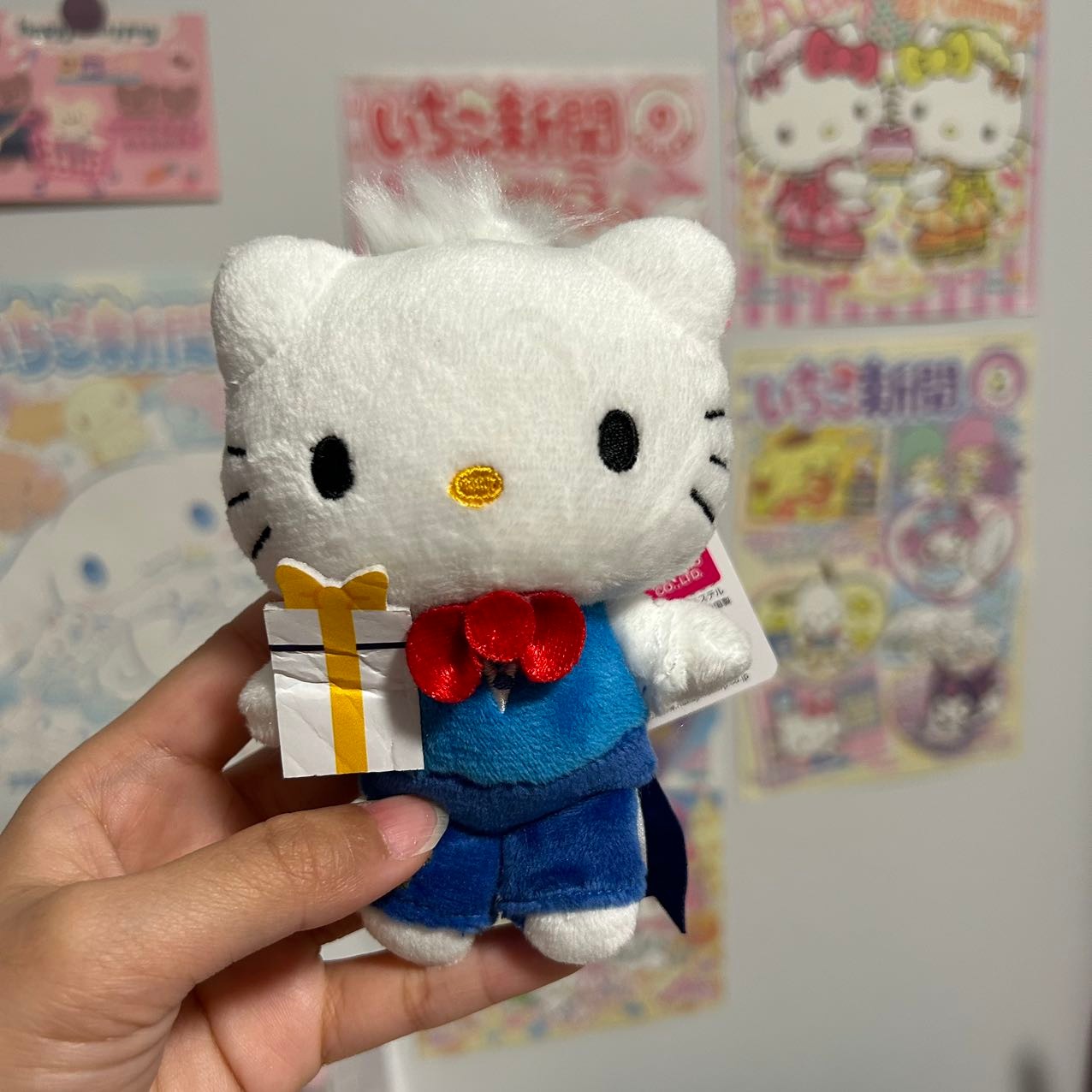 Hello Kitty Family Mascot