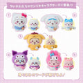 Chiikawa x Sanrio Collab Plush 2025 (In Transit)