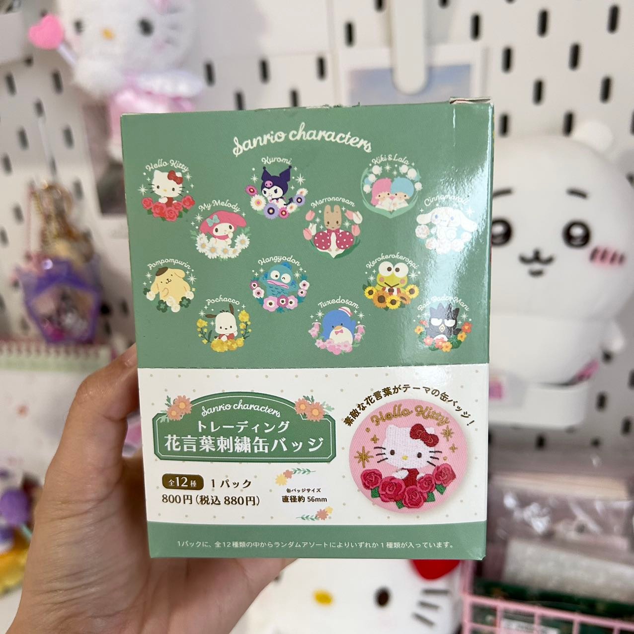 Sanrio Characters Embroidered Pin Badge Blind Pack