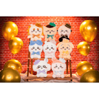 Chiikawa Beret Plush Toy