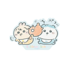 Chiikawa Baby